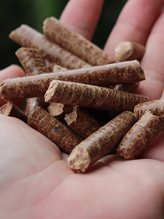 Wood Pellet